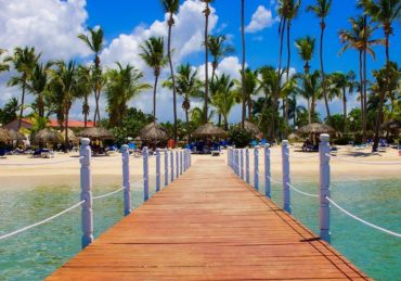 découvrez 'paradise', un monde enchanteur où la beauté naturelle rencontre la sérénité. explorez des paysages époustouflants et vivez une expérience inoubliable de détente et d'émerveillement.