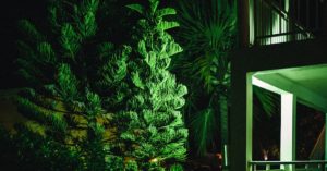 découvrez notre sélection de veilleuses modernes et apaisantes. les nightlights apportent une ambiance douce et rassurante à votre chambre, tout en étant fonctionnels pour les nuits sombres. parfaites pour les enfants et les adultes, ces lumières sont idéales pour créer un espace zen et confortable.