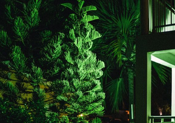 découvrez notre sélection de veilleuses modernes et apaisantes. les nightlights apportent une ambiance douce et rassurante à votre chambre, tout en étant fonctionnels pour les nuits sombres. parfaites pour les enfants et les adultes, ces lumières sont idéales pour créer un espace zen et confortable.