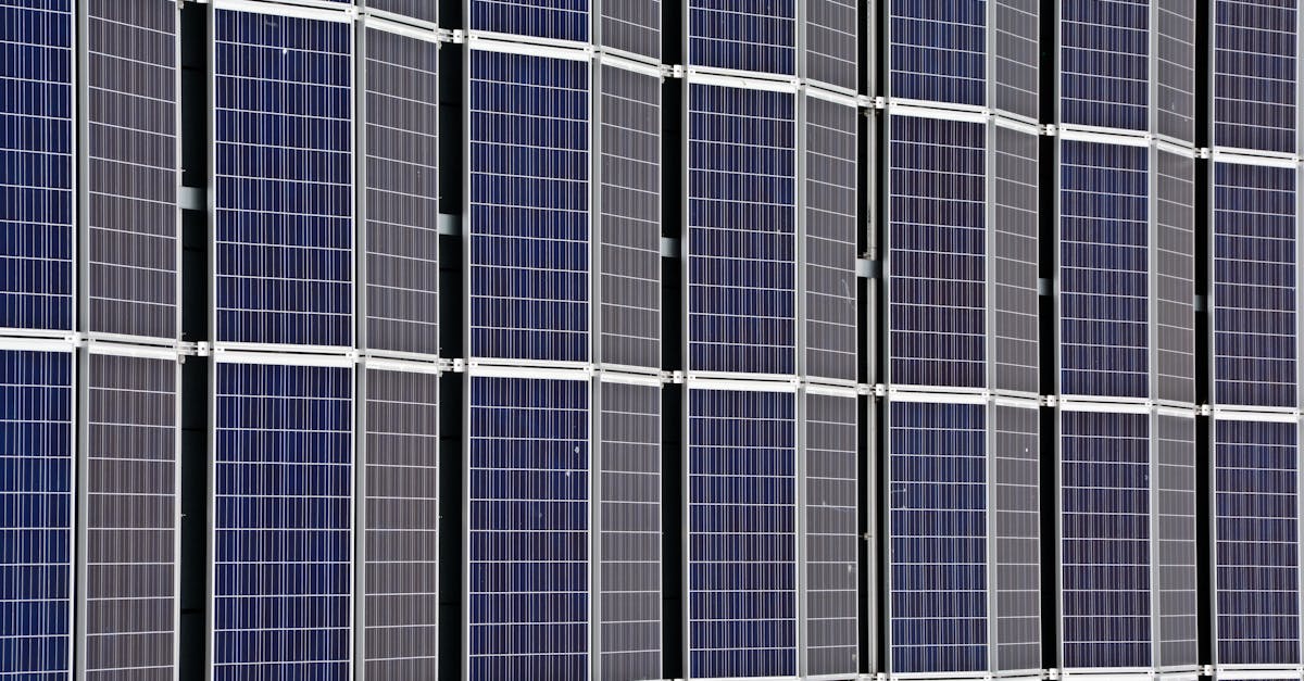 découvrez comment adopter des pratiques durables au quotidien et explorez les solutions pour un avenir plus respectueux de l’environnement. guide complet sur la sustainability !