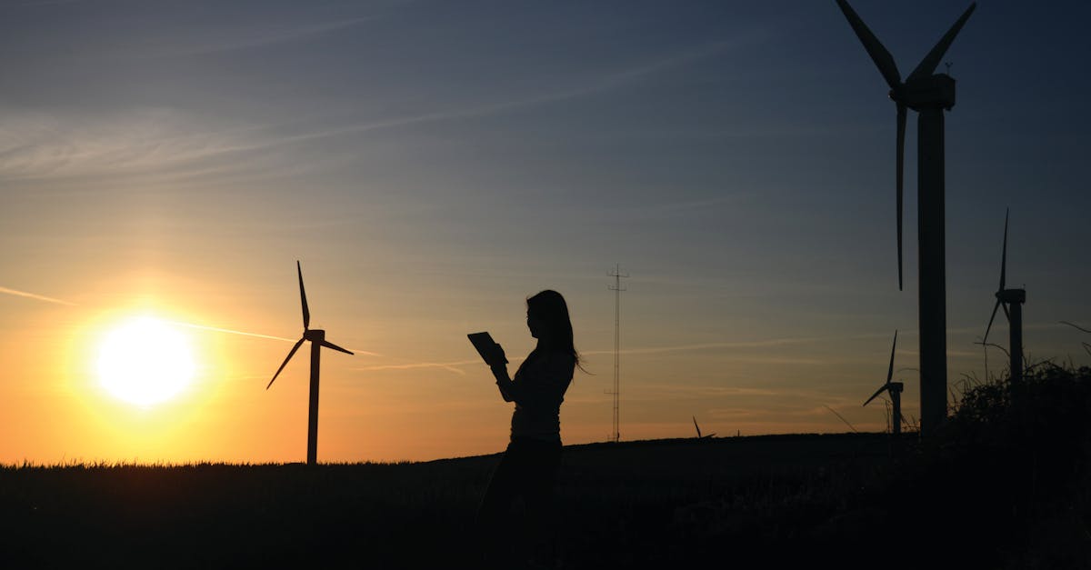 découvrez l'importance de la durabilité : stratégies, enjeux et solutions pour un avenir respectueux de l'environnement et des générations futures.