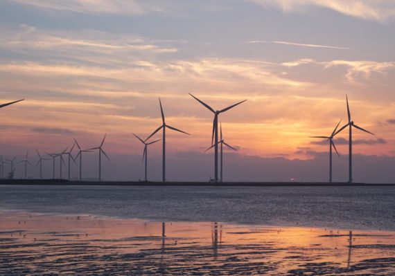 découvrez comment la durabilité façonne un avenir respectueux de l'environnement, en adoptant des pratiques éthiques et responsables pour préserver les ressources naturelles et améliorer la qualité de vie.