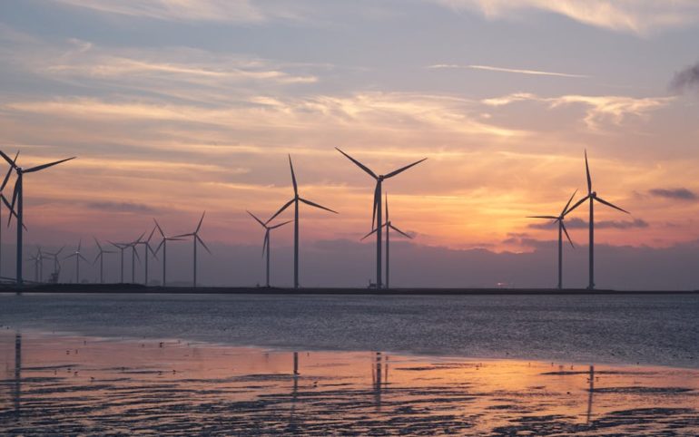 découvrez comment la durabilité façonne un avenir respectueux de l'environnement, en adoptant des pratiques éthiques et responsables pour préserver les ressources naturelles et améliorer la qualité de vie.